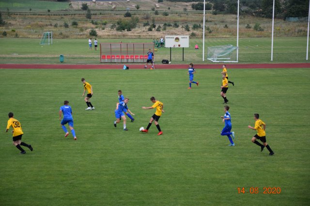 plewis 24